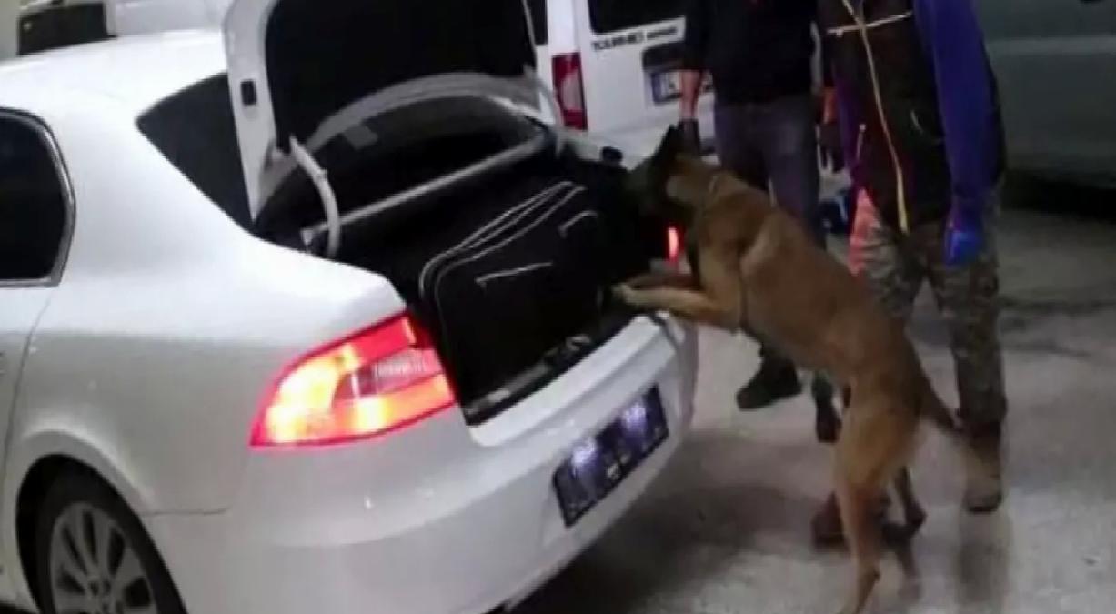 Bolu’da 9 Kaçakçılık Operasyonu