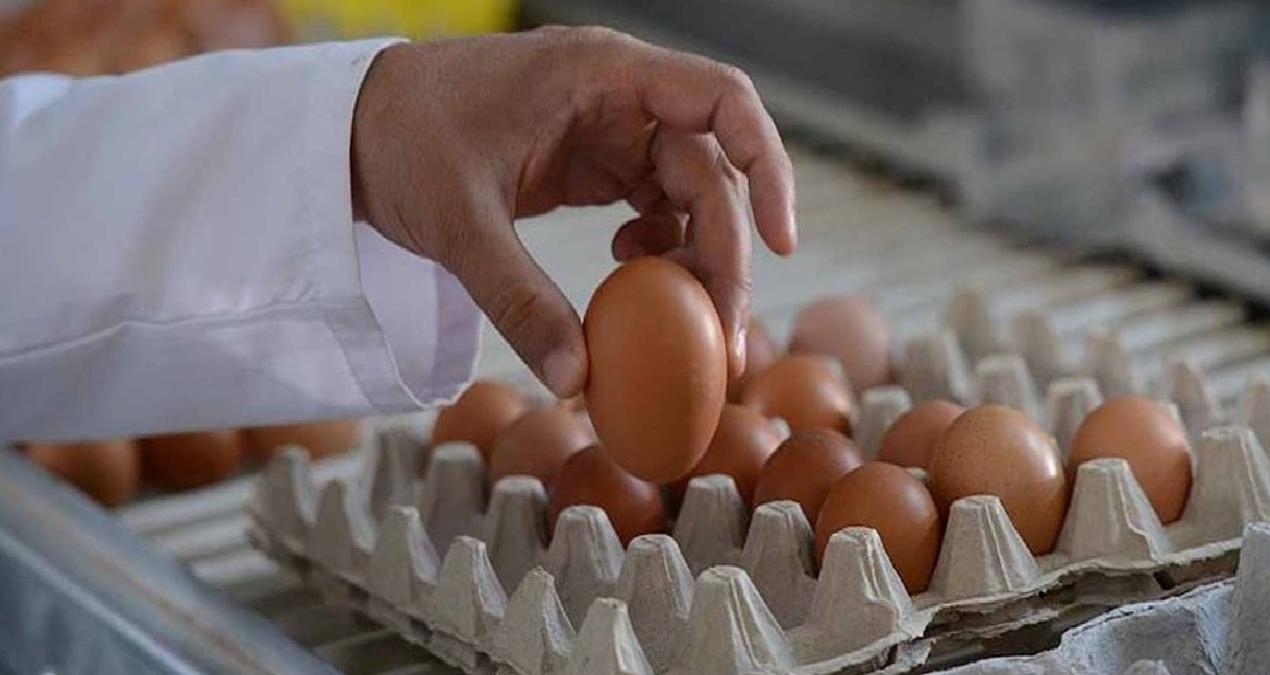 Bu test yumurtanın taze olup olmadığını riske girmeden çözüyor: Her seferinde 1 kez uygulayın!