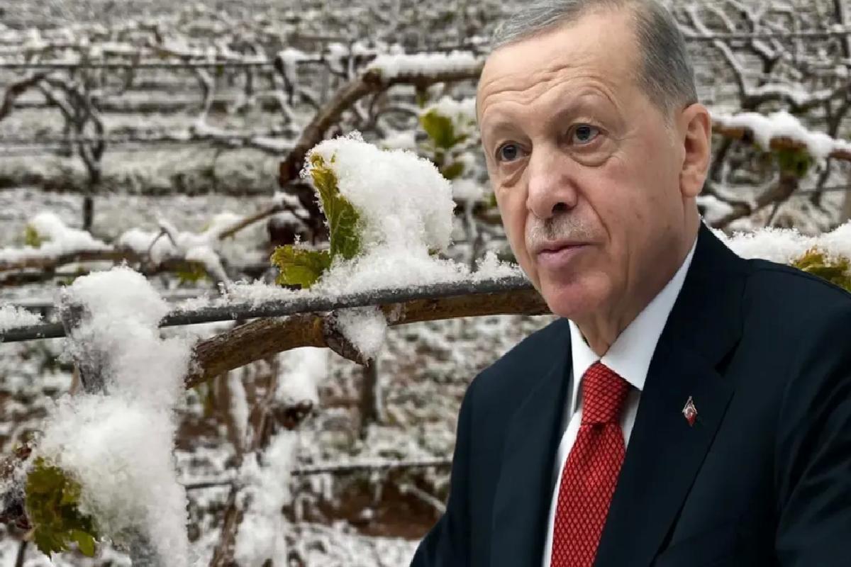 “Bu yıl sıkıntı yaşayacağız” diyen Cumhurbaşkanı Erdoğan, o ürünleri tek tek saydı
