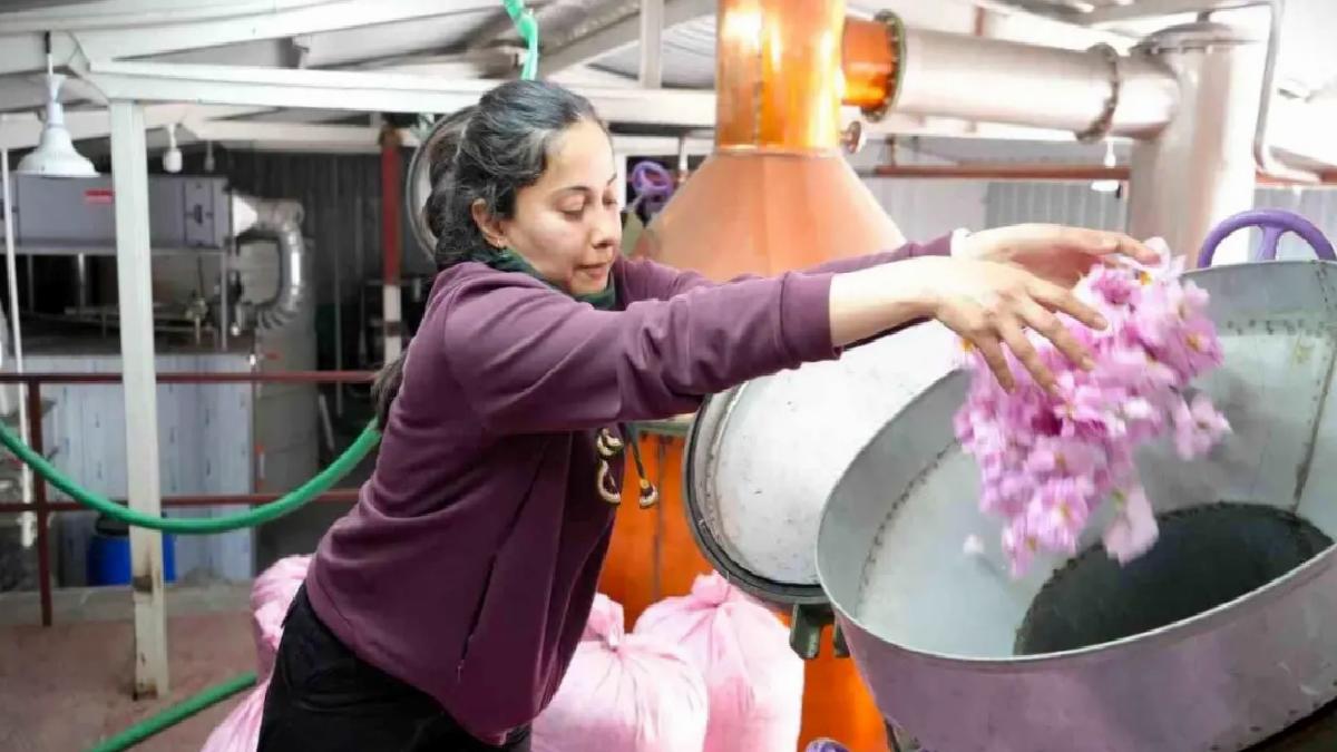 Burdur’da Gül Hasadı Küresel Isınmadan Etkilendi