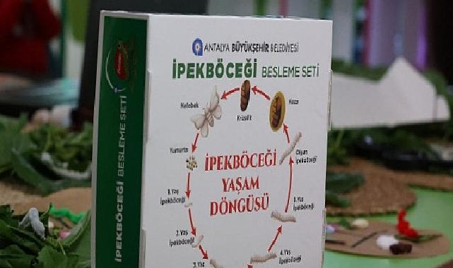 Büyükşehir çocukları ipekböceği ile tanıştırıyor