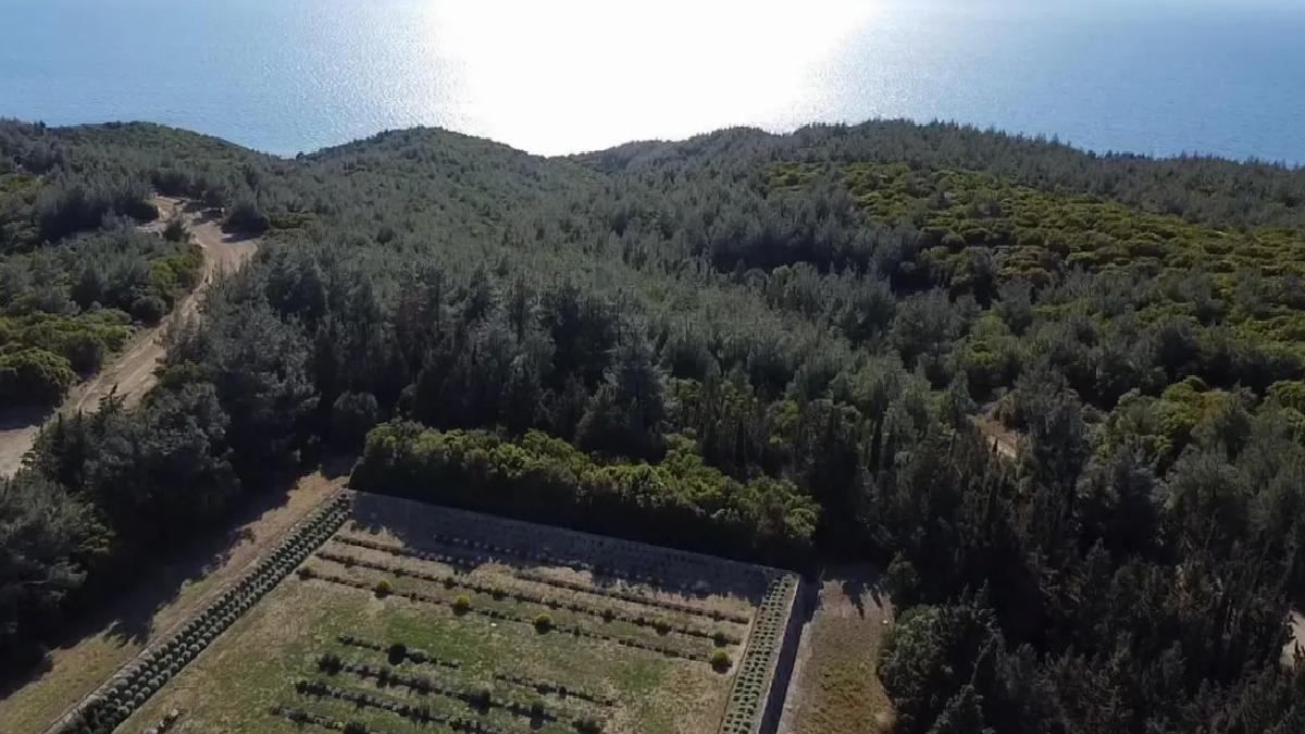 Çanakkale Savaşları’nda Mustafa Kemal’e yazılan rapor gün yüzüne çıktı