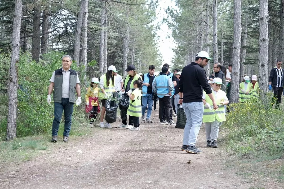 Çankırı’da ‘Orman Benim’ Etkinliği Düzenlendi
