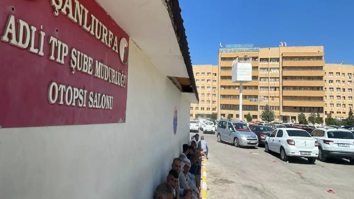 Ceylanpınar’da Çoban Otomobilin Çarpmasıyla Hayatını Kaybetti