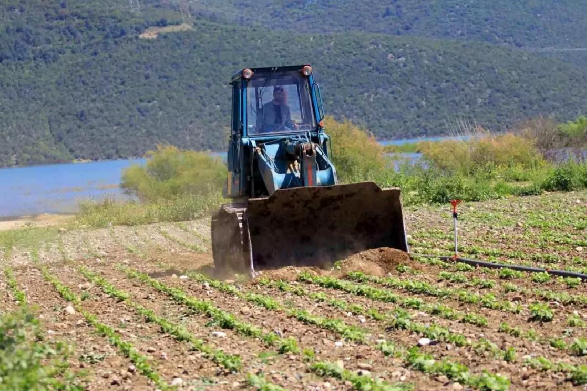 Çiftçiler Hakkında Çelişkili Eylem