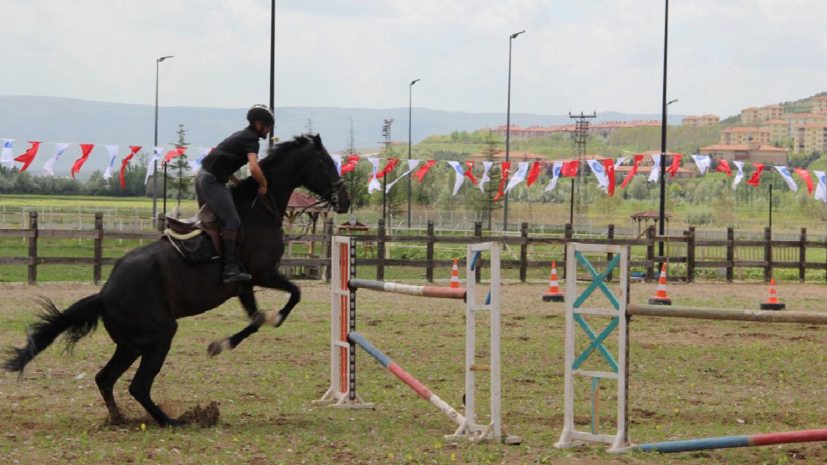 Çorum’da atlar güzellikleriyle yarıştı: Heyecan dolu anlar yaşandı