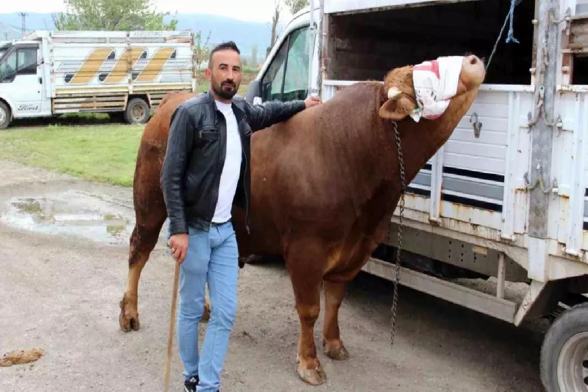 Çorum’da ‘Paşa’ 380 Bin TL’ye Satılık