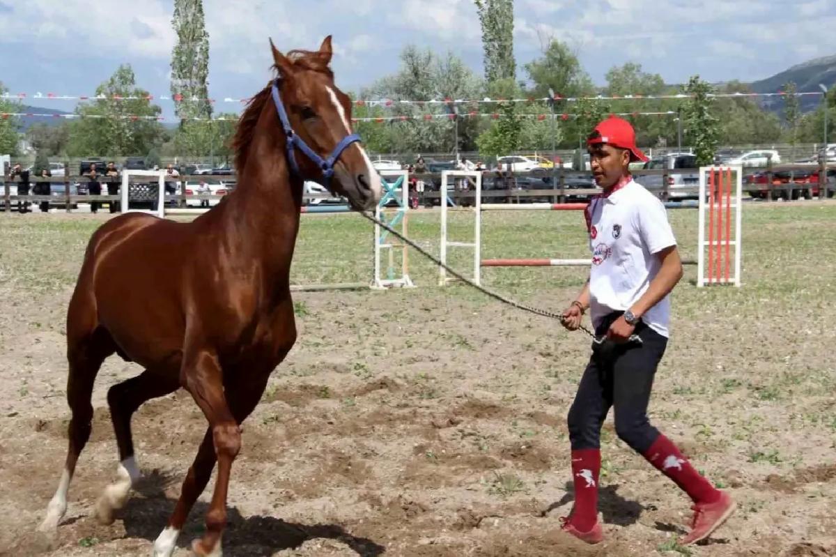 Çorum’da Uluslararası Atçılık Festivali Yoğun İlgi Gördü