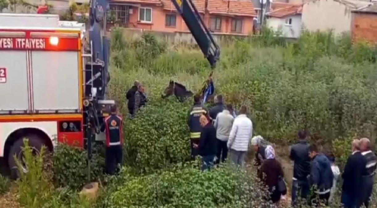 Çukurda Kalan At Vinçle Kurtarıldı