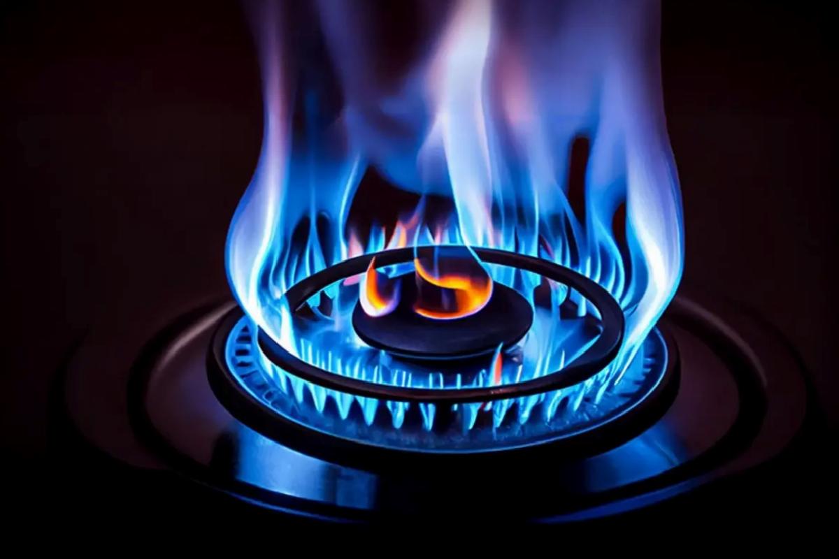 Cumhurbaşkanı Erdoğan: 30 milyar dolarlık doğal gaz keşfettik