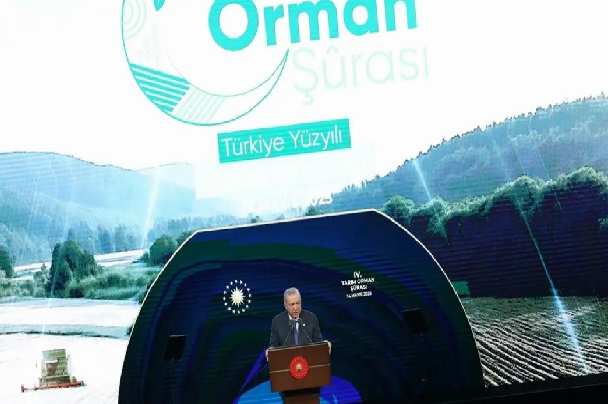 Cumhurbaşkanı Erdoğan, 4. Tarım Orman Şurası Sonuç Bildirgesi Programı’nda konuştu: (2)