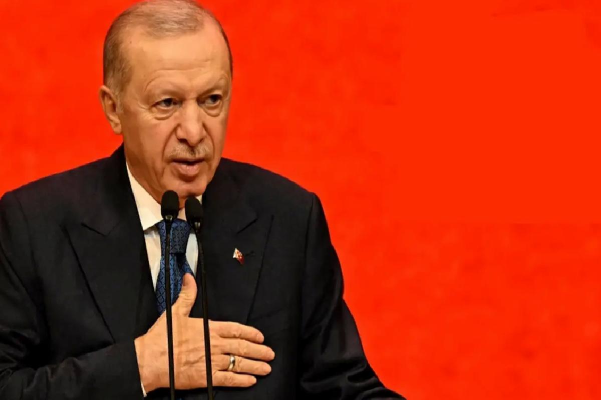 Cumhurbaşkanı Erdoğan: Eline bir mikrofon alan kendini gazeteci sanıyor