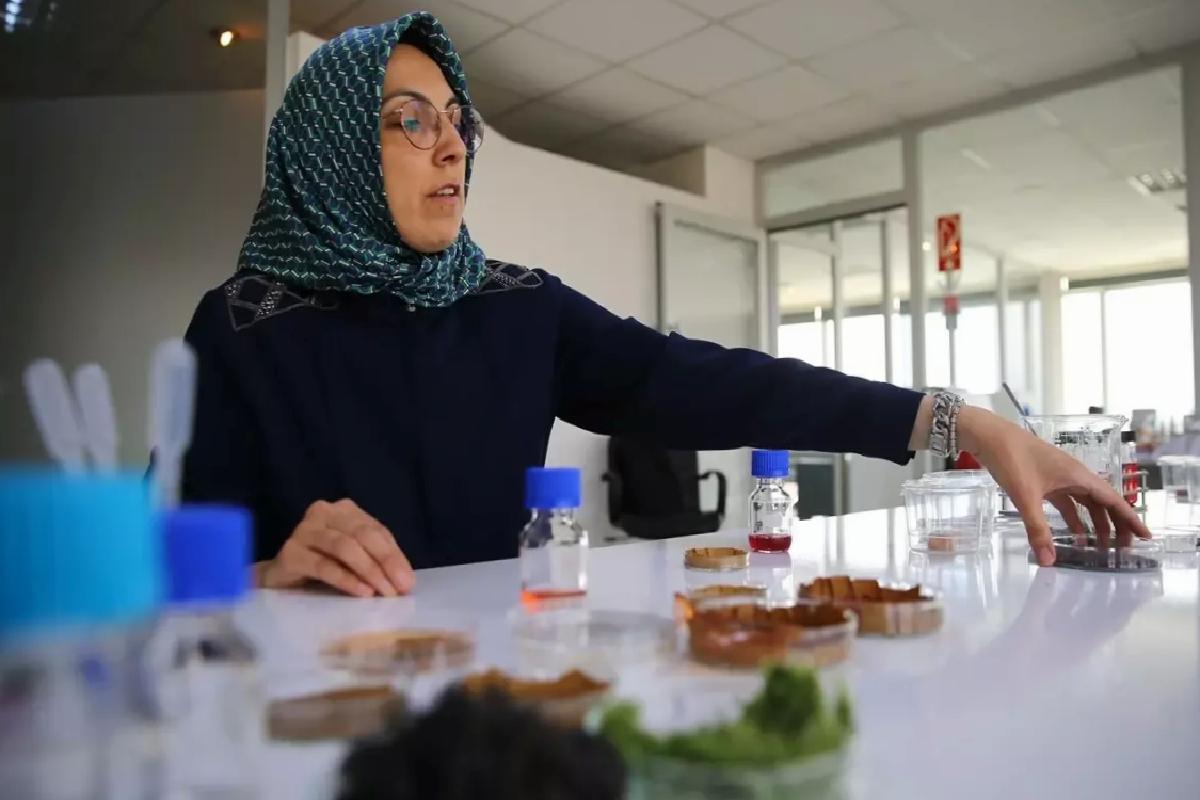 Deniz Yosunlu Akıllı Etiket Geliştirildi