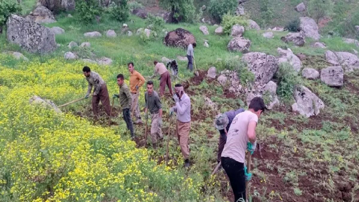 Derecik’te İmece Geleneği Devam Ediyor