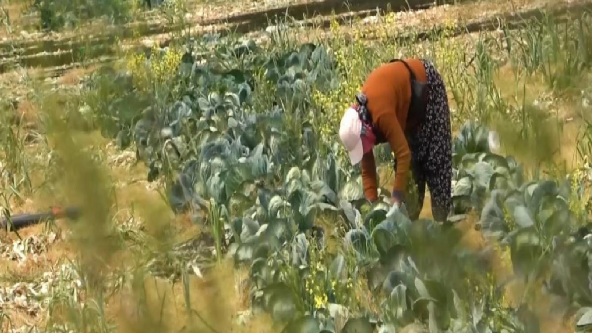 Devletin tarım arazilerine el koyacağı iddiası gerçeği yansıtmıyor