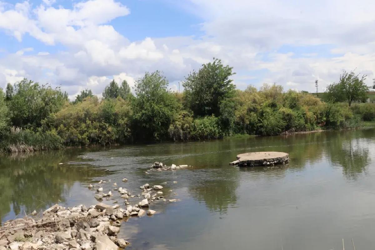 Dicle Nehri’nde Toplu Balık Ölümleri
