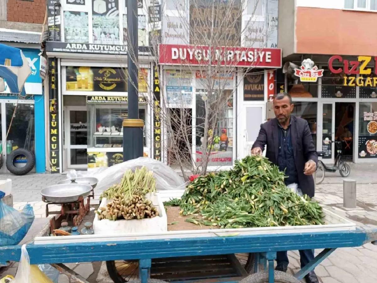 Diyadin’de Bahar İle Işkın ve Çiriş Ticareti Başladı