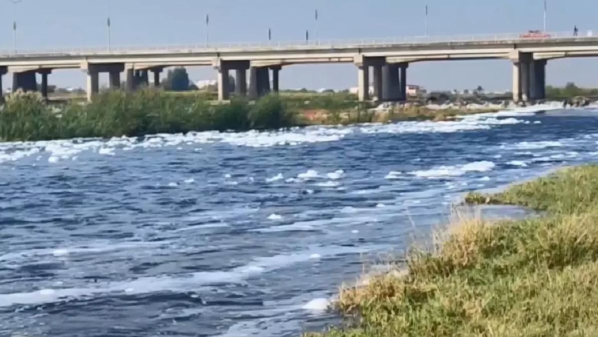 Diyarbakır’da Su Samurları Çöplükte Yiyecek Arıyor