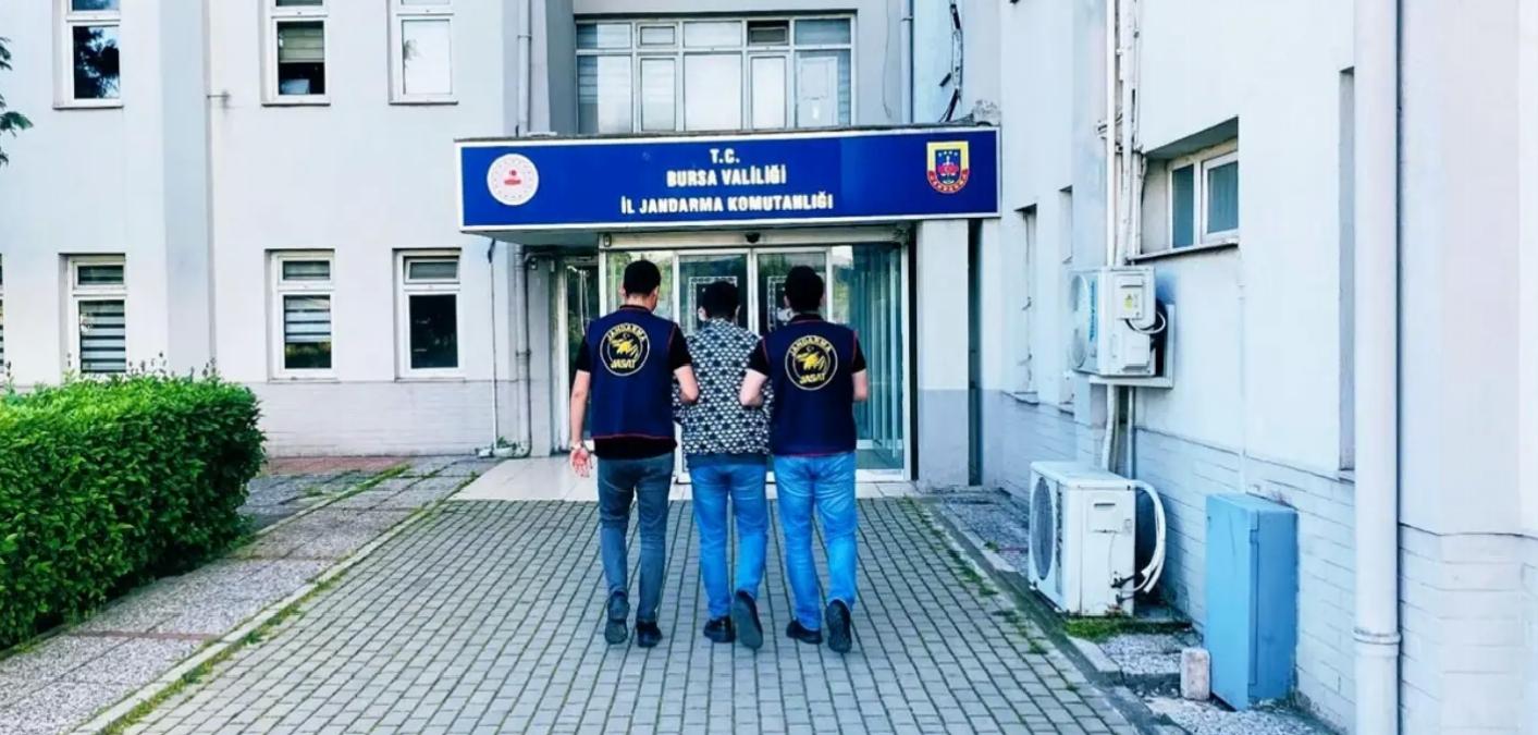 Dolandırıcılık Operasyonunda 1 Tutuklama