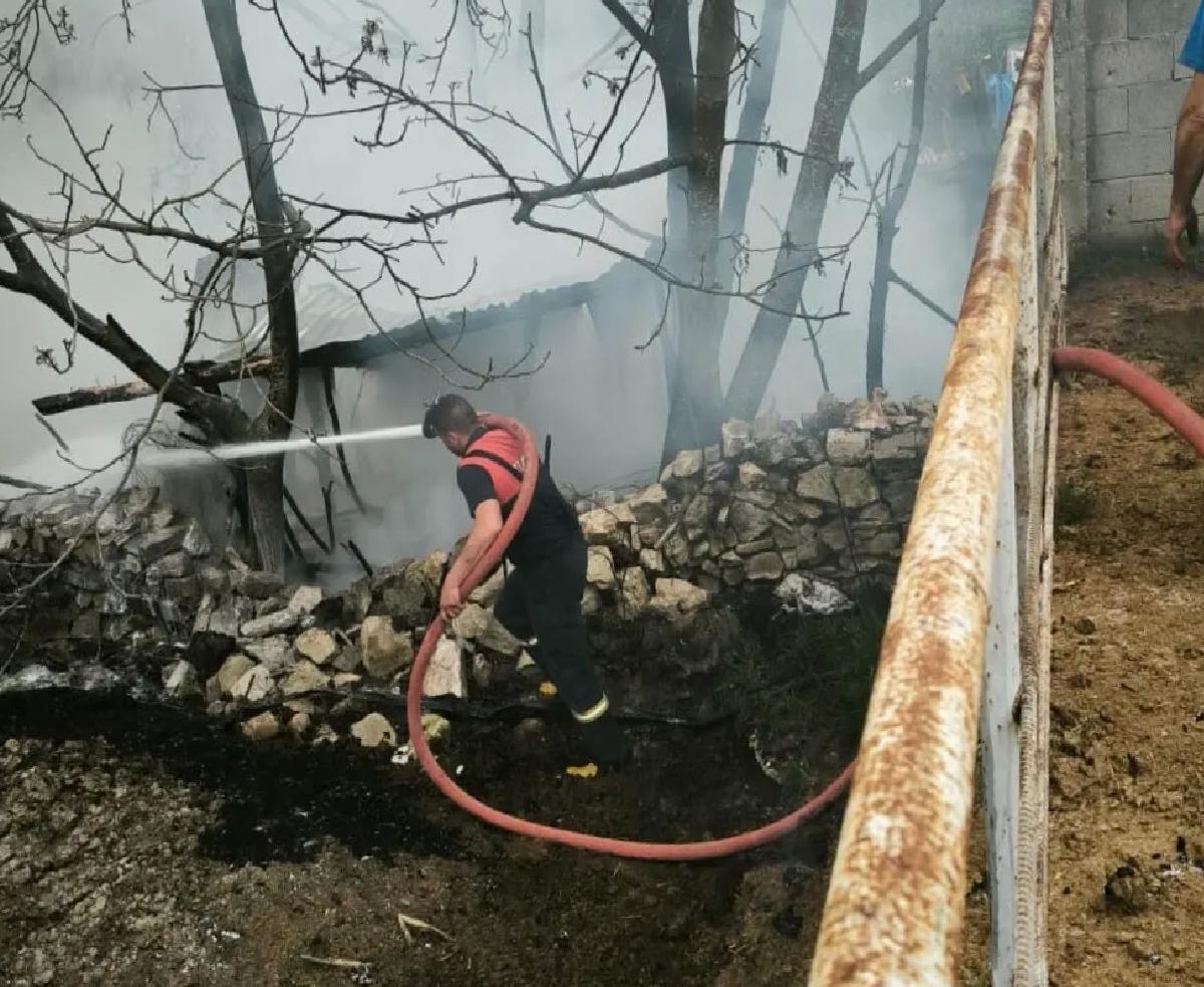 Domaniç’te Kümes Yangını: 100 Tavuk Telef Oldu