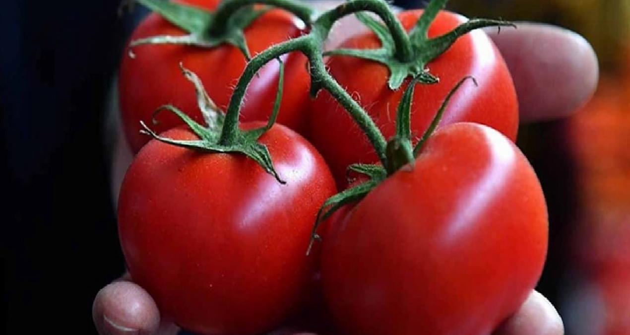 Domatesteki bu çizgiler içinin pestisitlerle dolu olduğunu gösteriyor!