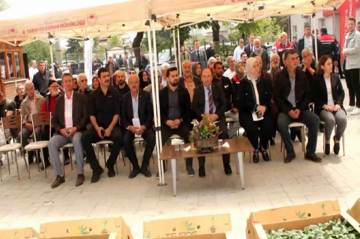Düzce’de Fide Dağıtımı ile Sebze Üretimi Artacak