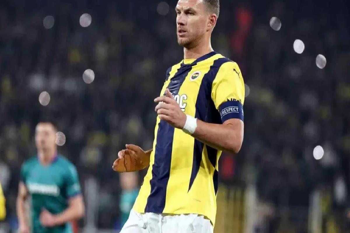 Dzeko ve Hajradinovic, Bosna Hersek Kadrosunda!