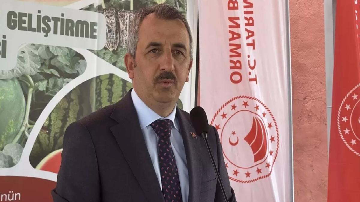 Edirne’de Çiftçilere Karpuz Fidesi Dağıtımı