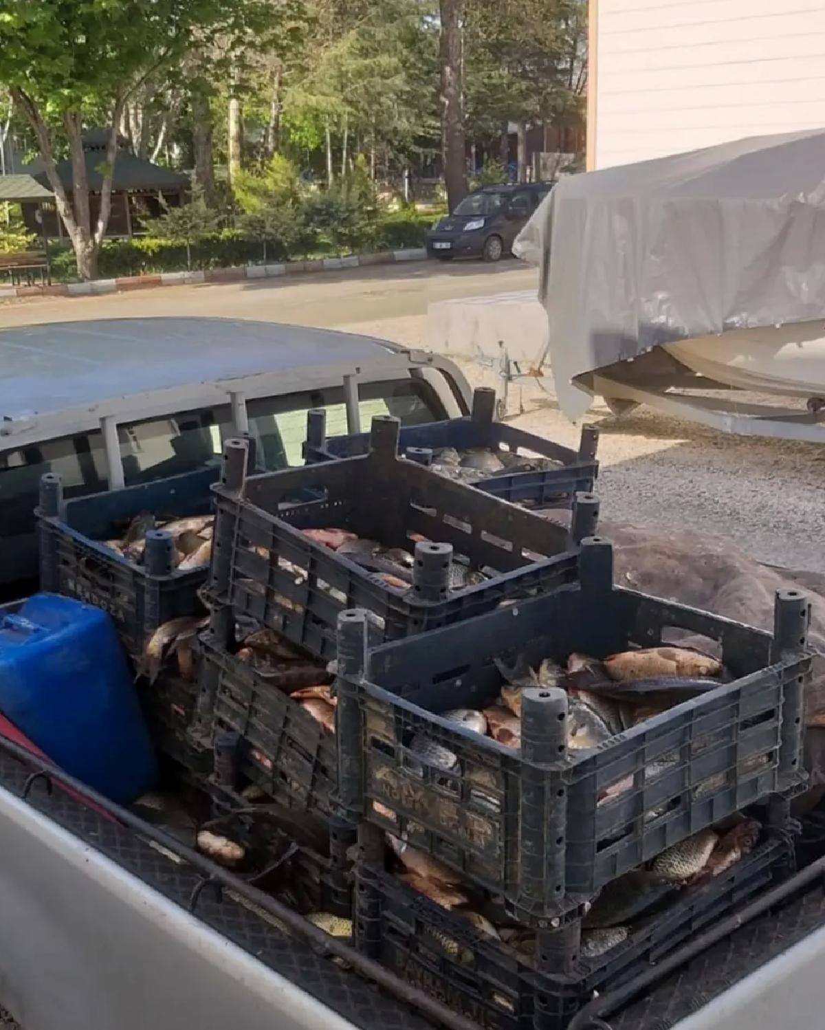 Elazığ’da Kaçak Avcıya 700 Kg Balık Ceza