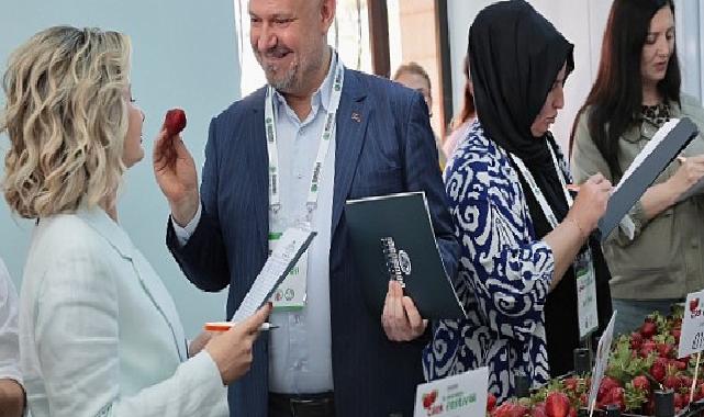 Emiralem Çilek Festivali rekor kırdı: milyonu geçti!