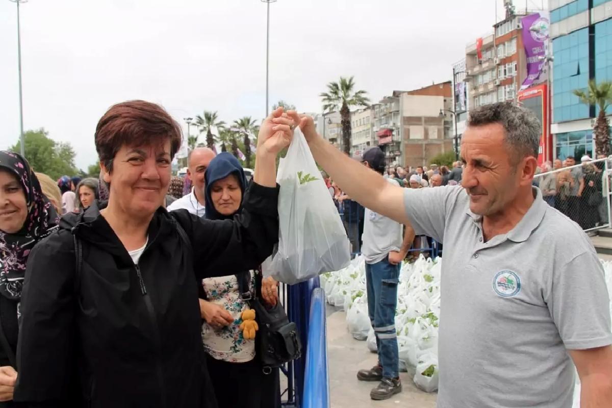 Ereğli’de 350 Bin Sebze Fidesi Dağıtıldı