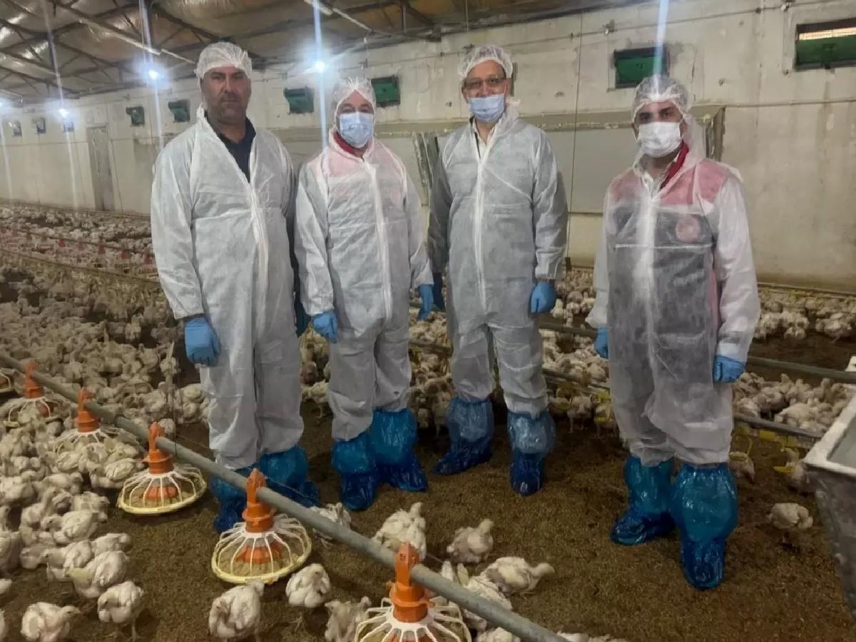 Erzincan’da Kanatlı Hayvan Sektörü Canlanıyor
