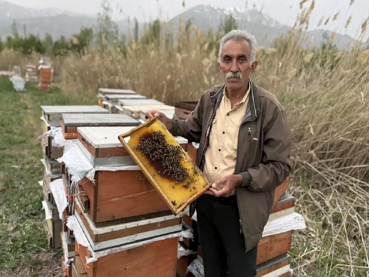 Erzincan’da Soğuk Hava Arıcılığı Olumsuz Etkiliyor