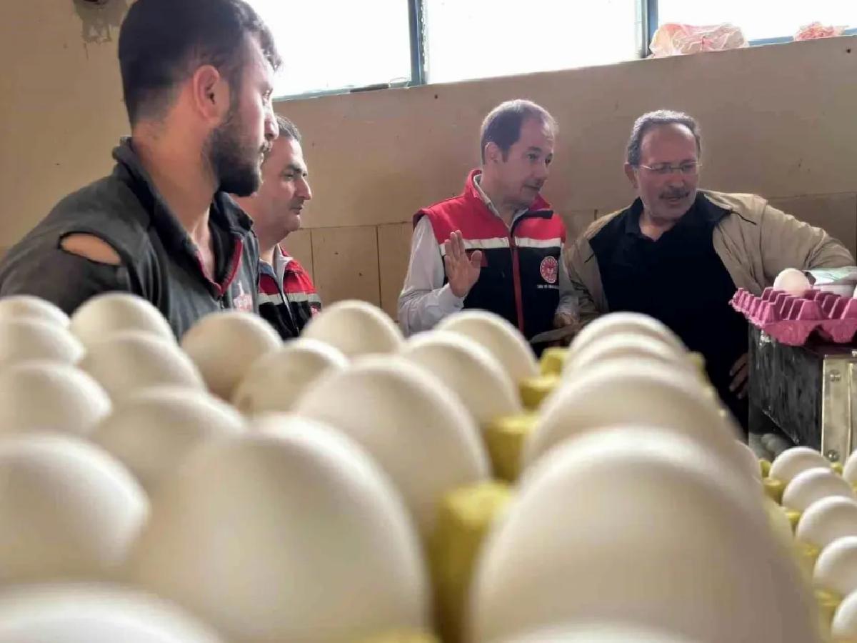 Erzincan’da Tavukçulukta Yeni Yatırımlar