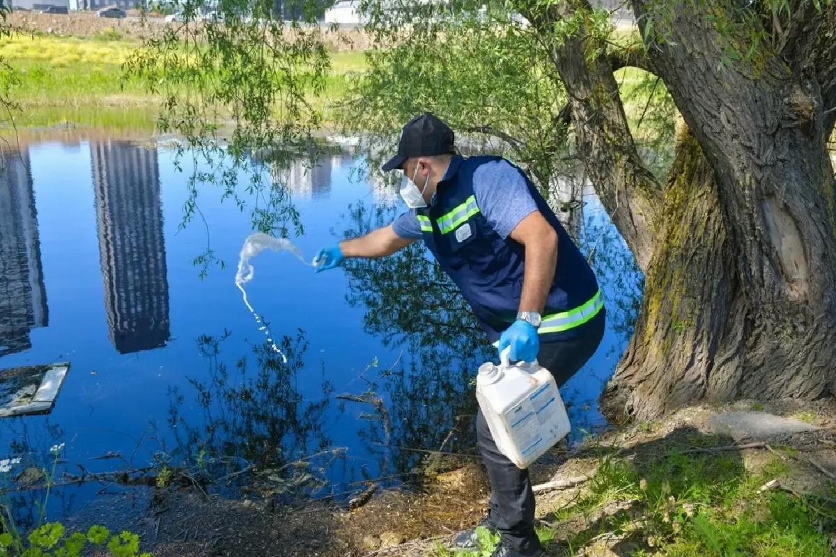 Esenyurt’ta Haşere İlaçlama Başladı