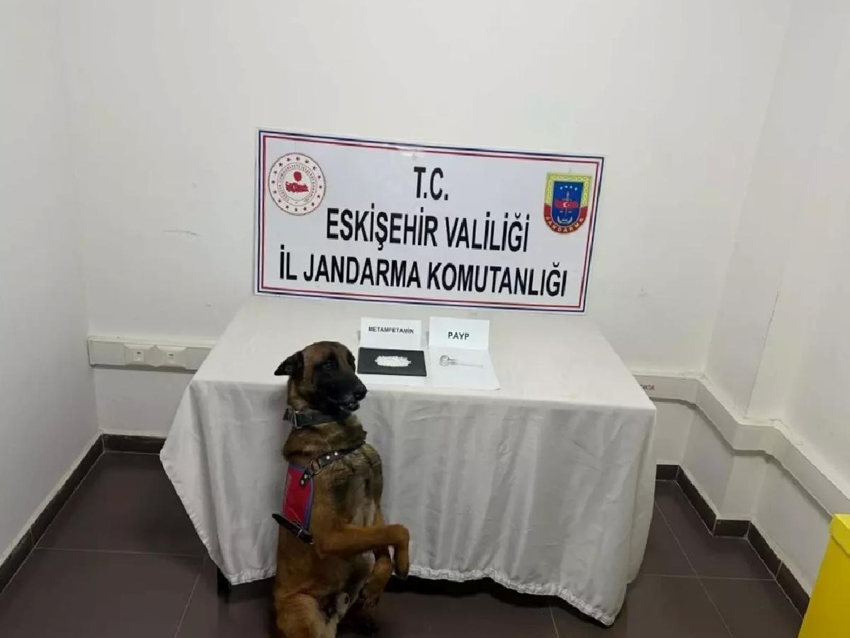 Eskişehir’de Kaçak Kazı ve Uyuşturucu Operasyonu