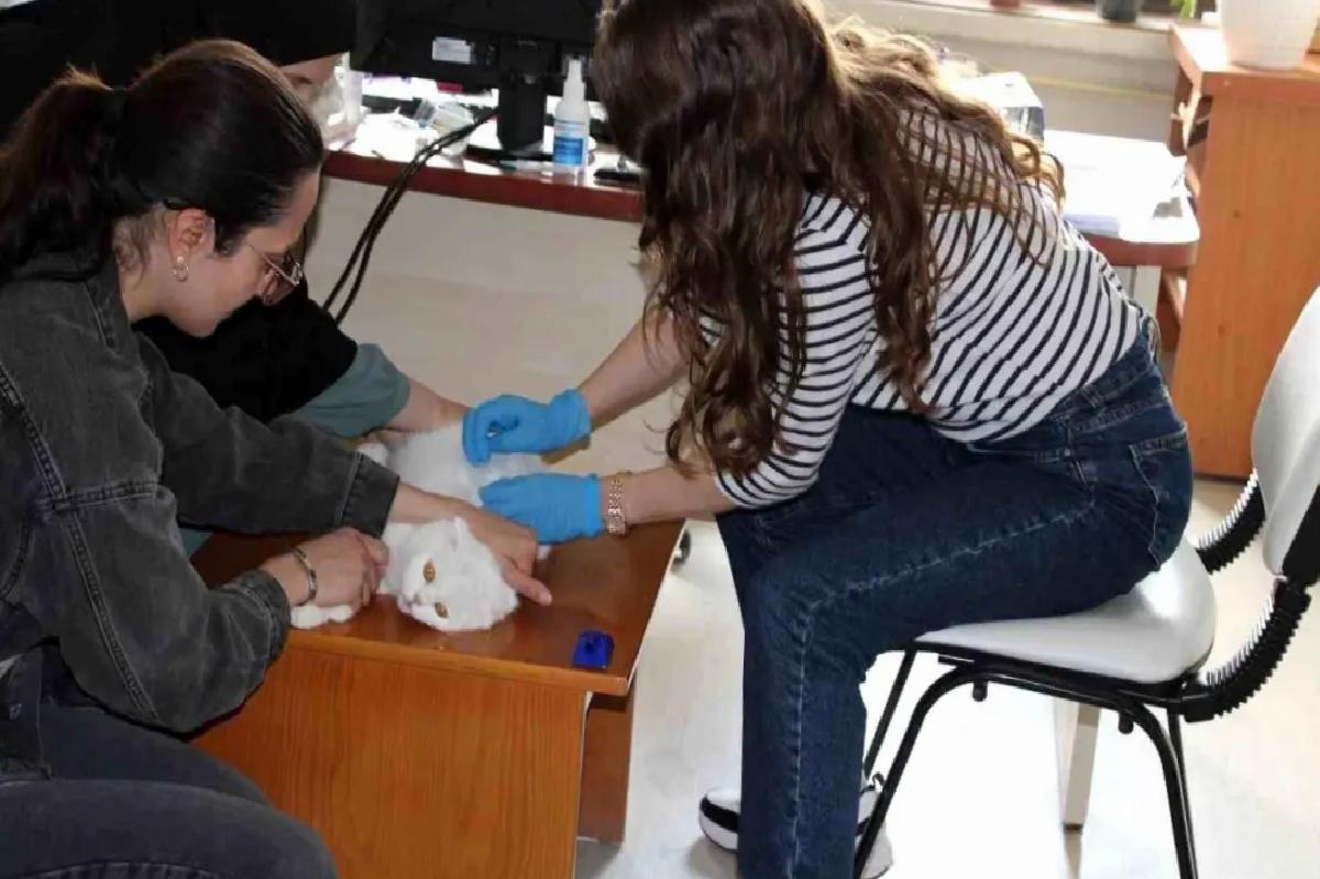 Evcil Hayvanlar İçin Mikroçip Uygulaması