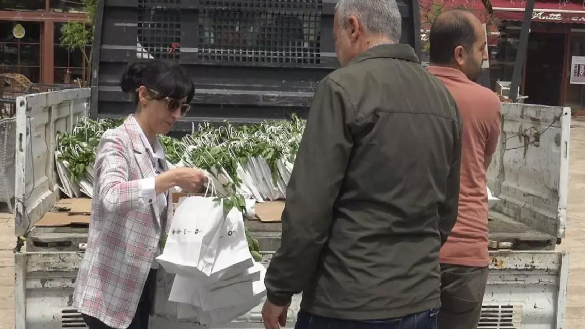 Fideler Üreticilere Dağıtıldı