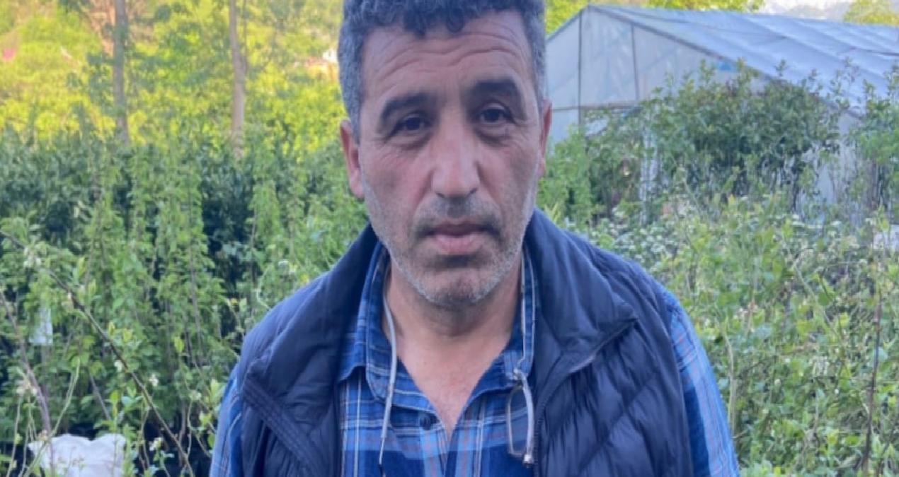 Fındıklı Ziraat Odası Başkanı: Yaş çayda üreticinin hakkı 35 liradır