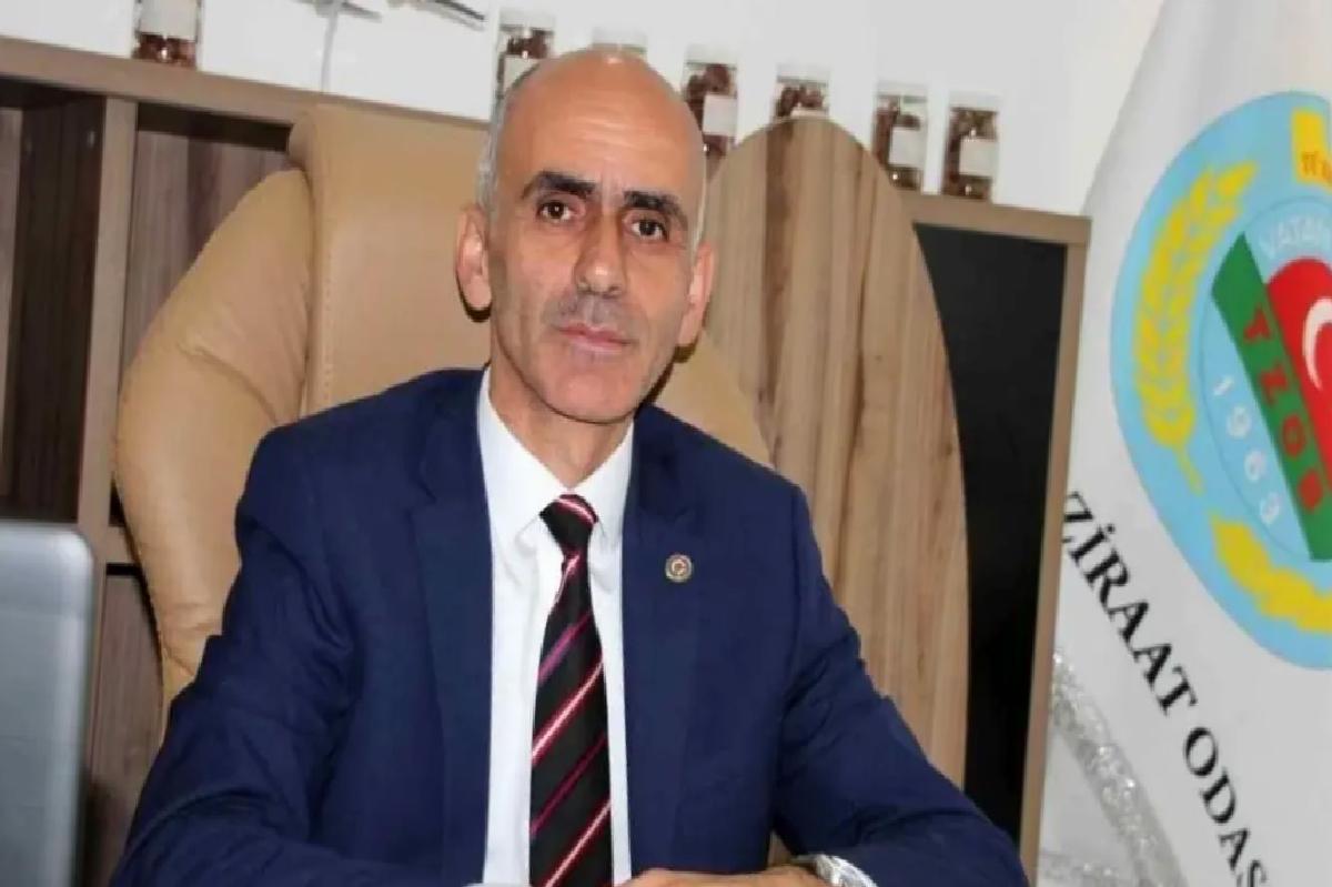 FİSKOBİRLİK’in Arazi Satışı Giresun’un Gelişimine Engel Oluyor