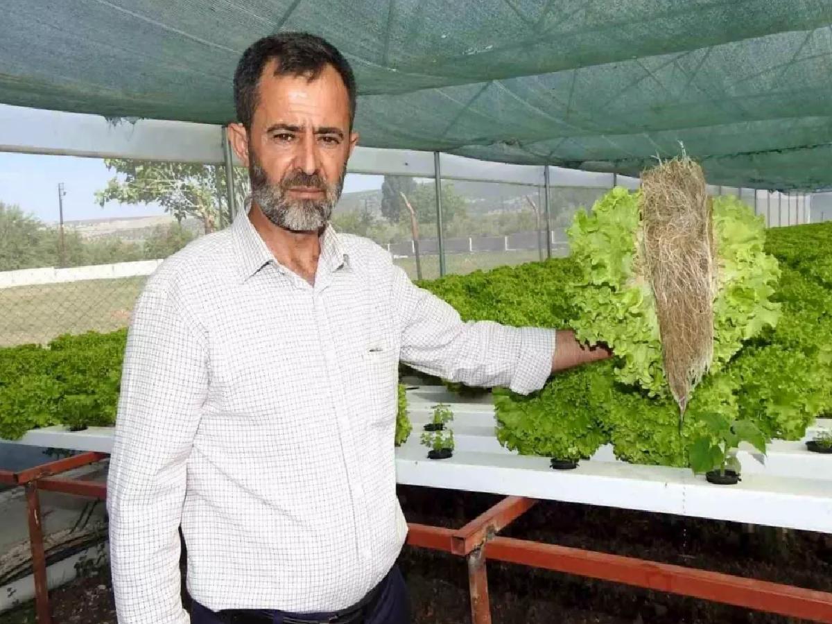 Gaziantep’te Topraksız Tarım ile Hızlı Marul Üretimi