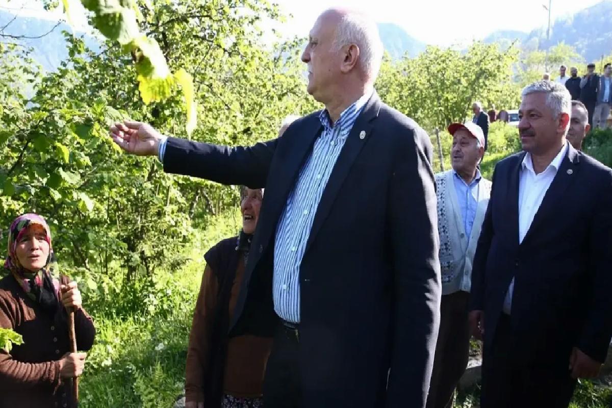 Giresun’da Fındık Bahçelerine Zirai Don Zarar Verdi