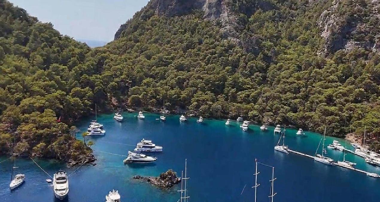Göcek’te kaplumbağalar için müzik yasağı!