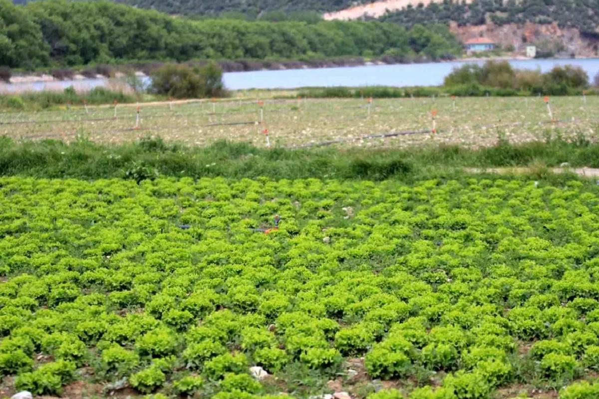 Gölbaşı Barajı’nda Yasa Dışı Tarım Faaliyeti