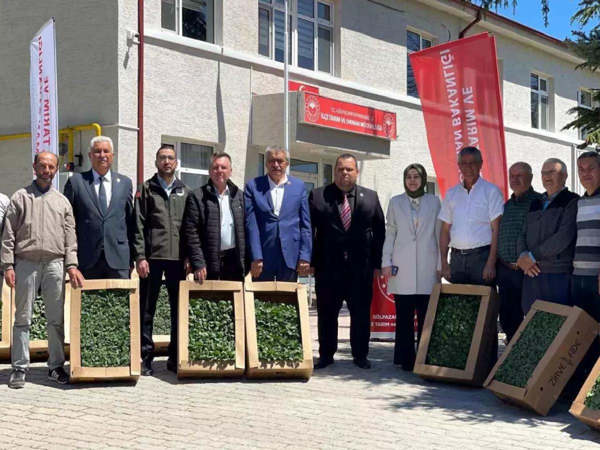 Gölpazarı’nda Fide Dağıtımıyla Tarıma Destek