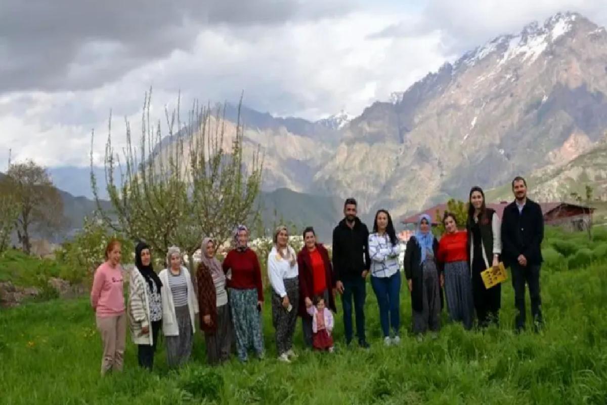 Hakkari’de Kadınlara Safran Eğitimi