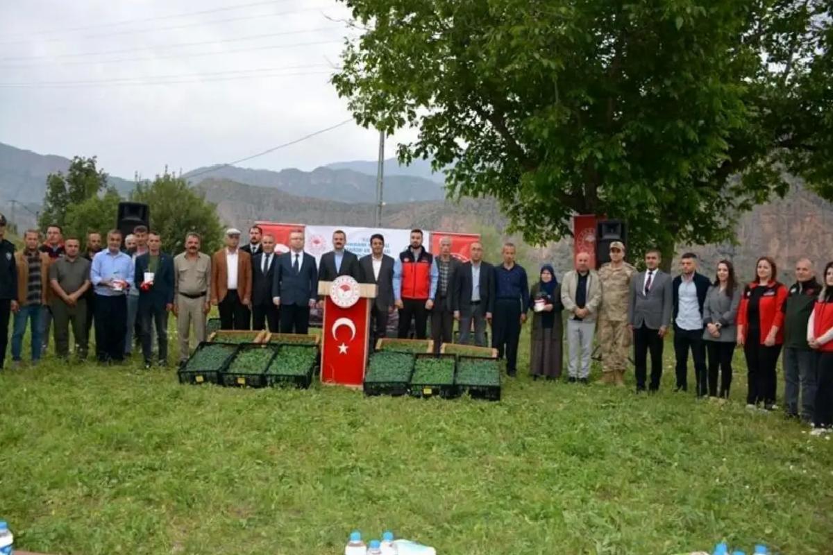 Hakkari’de Sebze Fideleri Dağıtımı
