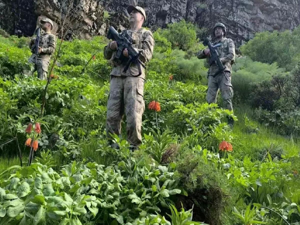 Hakkari’de Ters Lale Koruma Önlemleri Artıyor