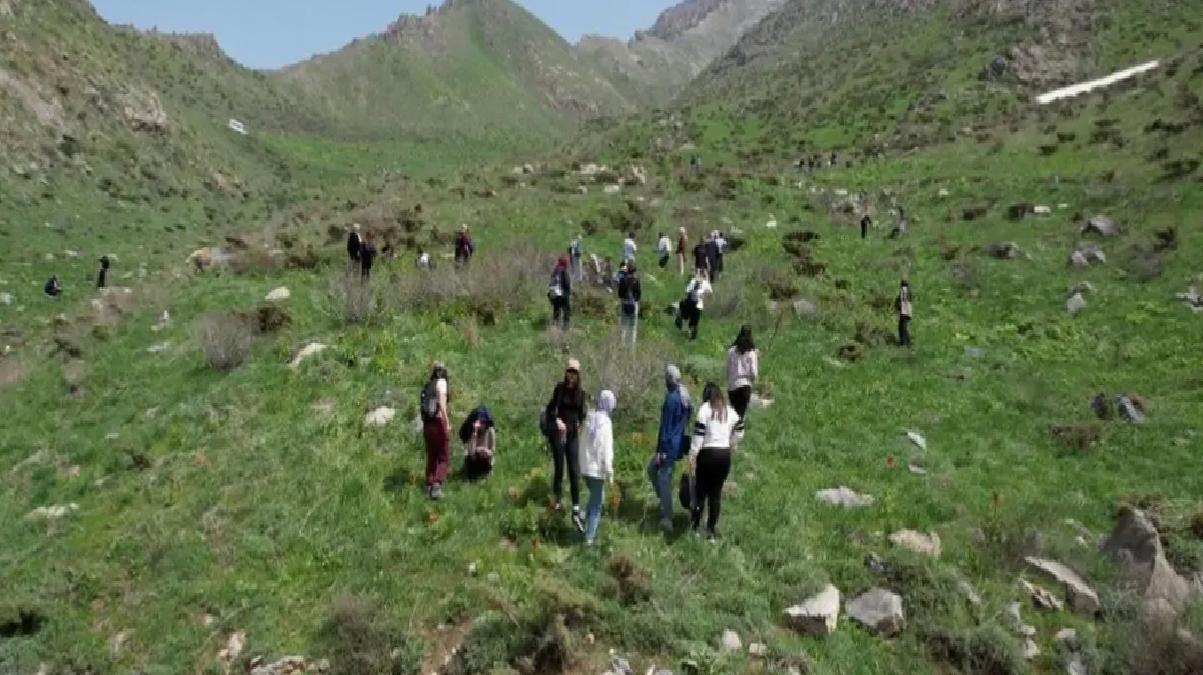 Hakkari’de Ters Lale Şöleni