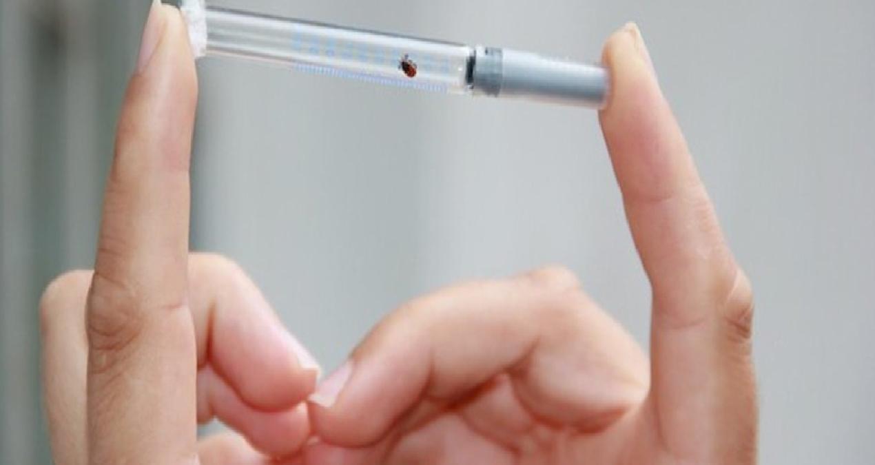 Havalar ısındı, KKKA tehlikesi yükselişe geçti